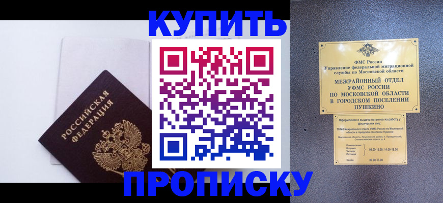 найти адрес прописки в Стародубе